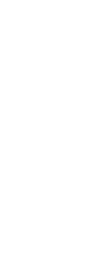 思わず深呼吸　森林セラピー