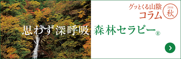 思わず深呼吸森林セラピー　グッとくる山陰　2016秋