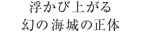 浮かび上がる
幻の海城の正体