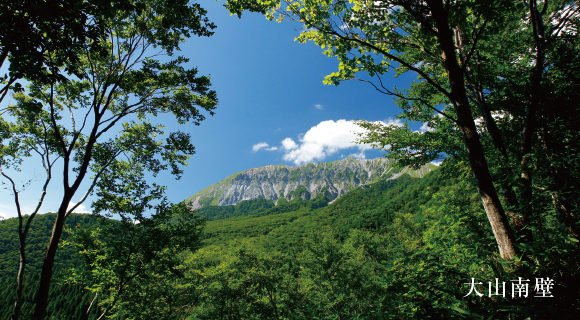 大山南壁