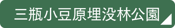 三瓶小豆原埋没林公園