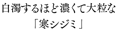 白濁するほど濃くて大粒な「寒シジミ」