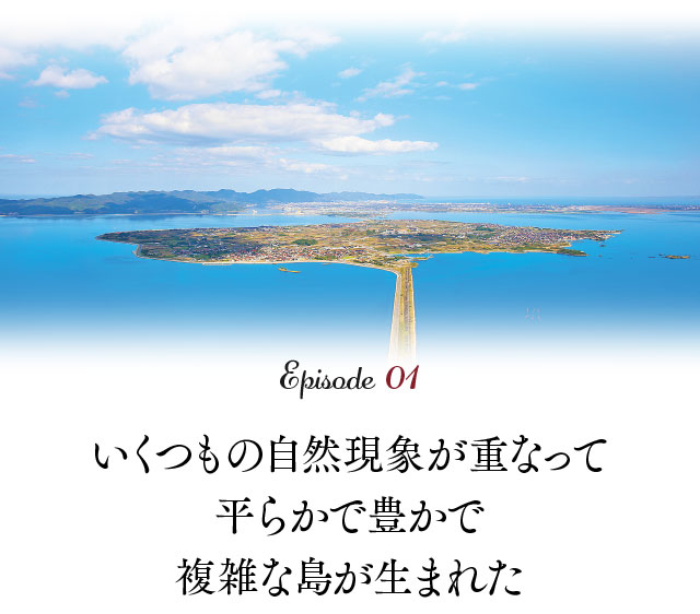 いくつもの自然現象が重なって平らかで豊かで複雑な島が生まれた
