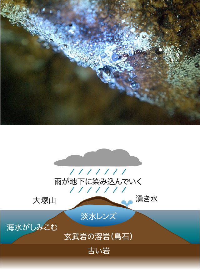 淡水レンズ