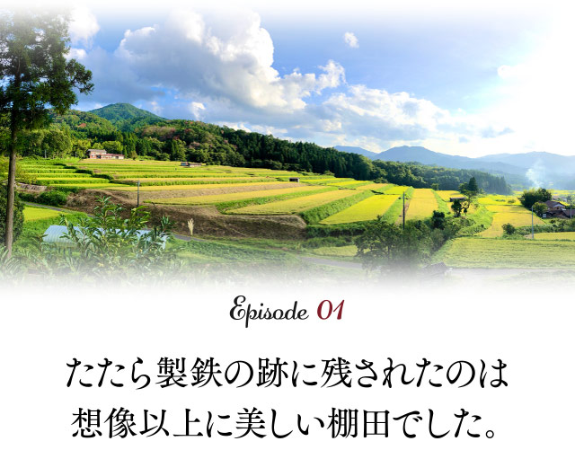 たたら製鉄の跡に残されたのは想像以上に美しい棚田でした。